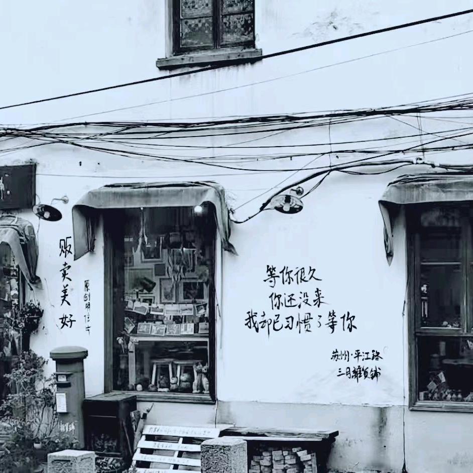 烟花虽美一瞬即逝