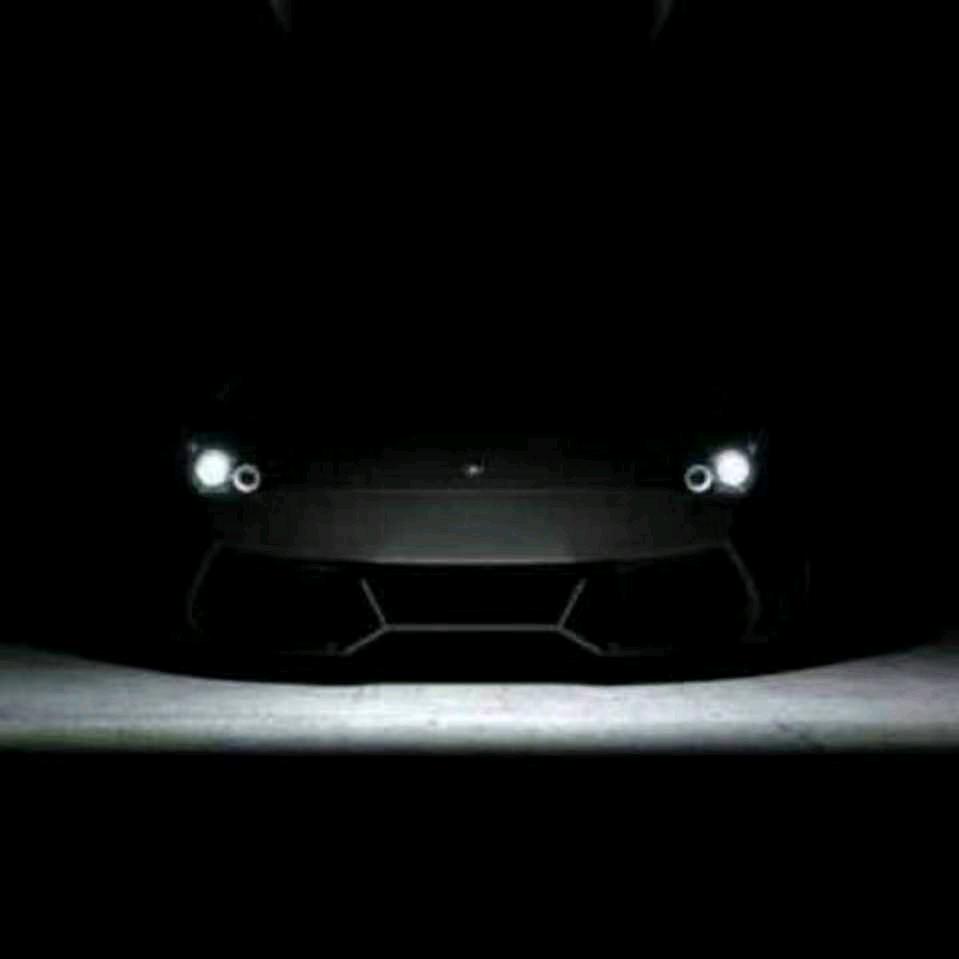 辽宁清原林场（无人机无偿救援）