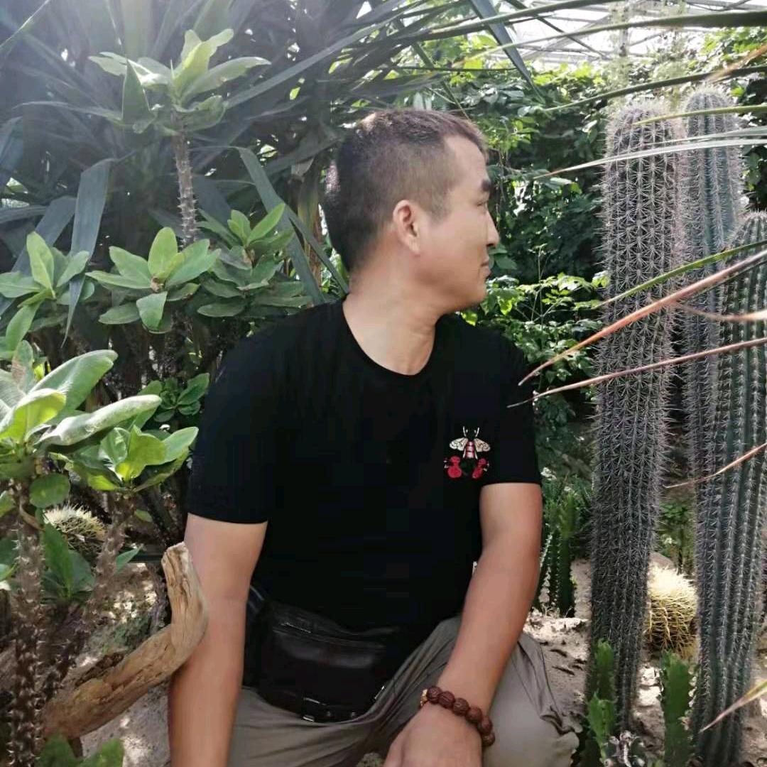 北极的冬天