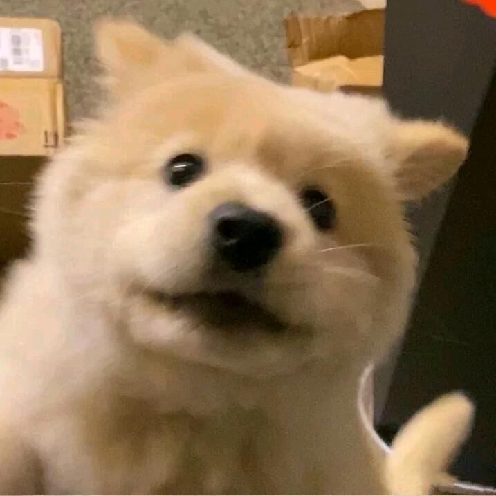 迟旬