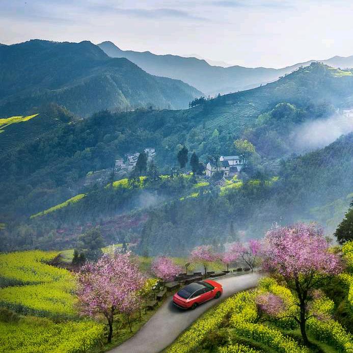 半清醒，半努力