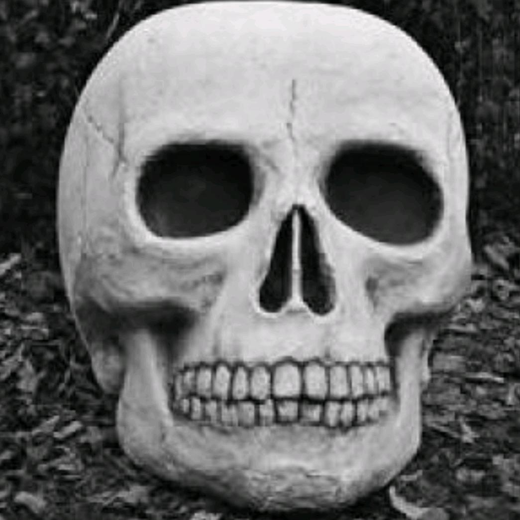 醉宁波【夺命大乌苏】