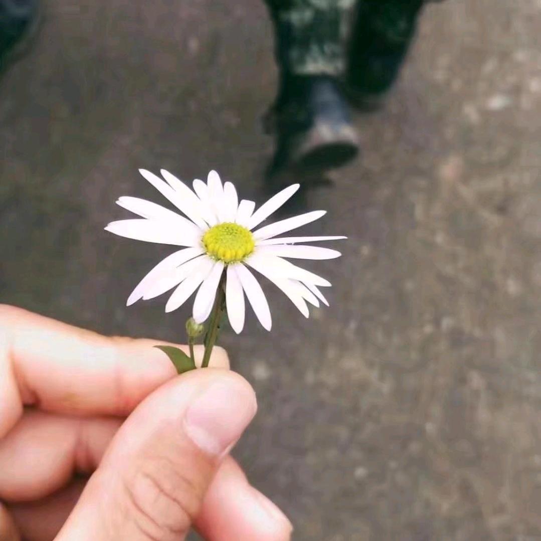 Jason尚