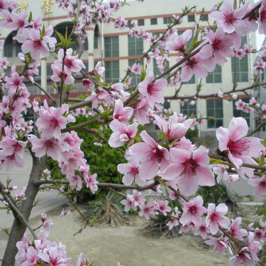 陈法岭