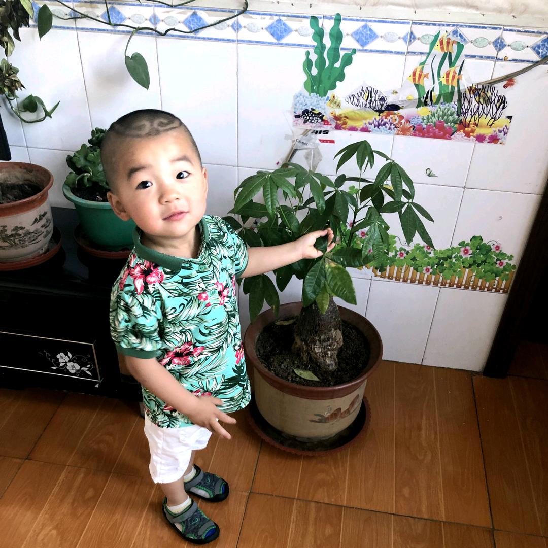 二两两（万科怡和里脊饼）