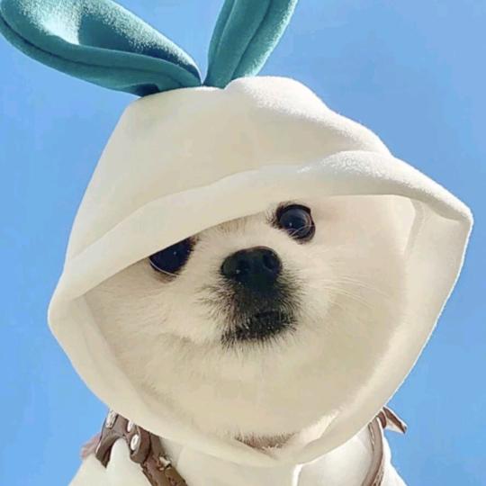 周某某