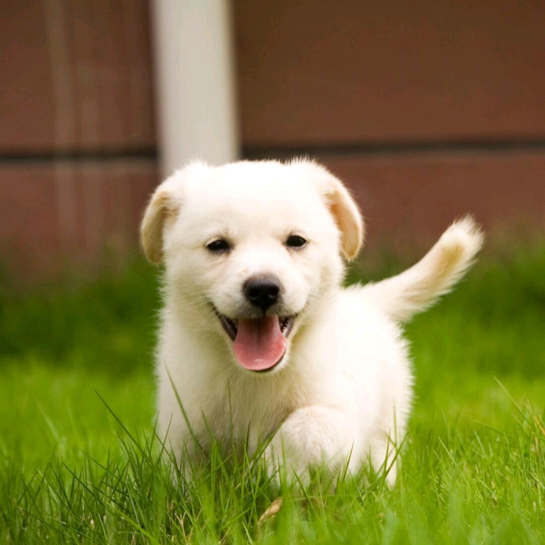 zhusun🐉 🐉🐉（拒绝私聊）