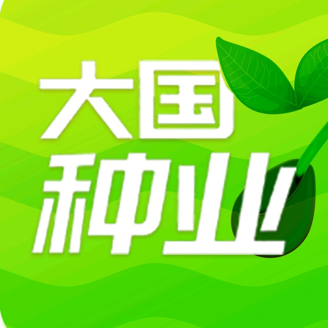 大国种业