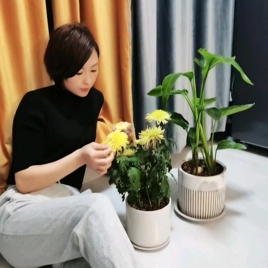 菲菲儿🌹🌹