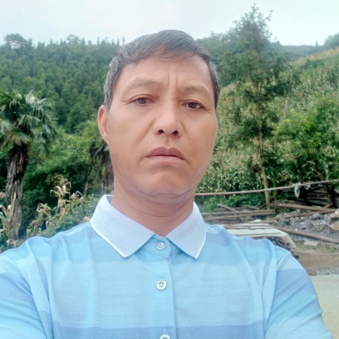 落叶归根