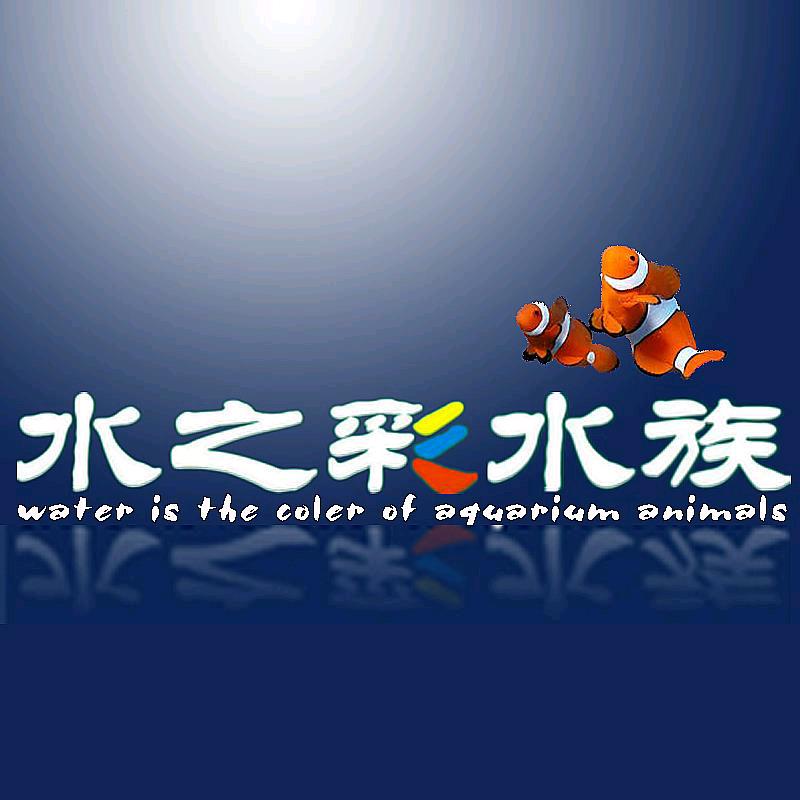 水之彩看世界