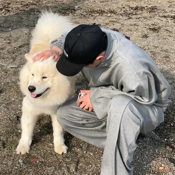 菠萝小狗