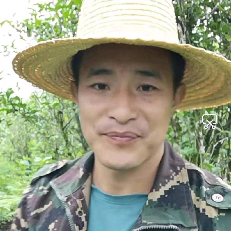 普洱茶厂长