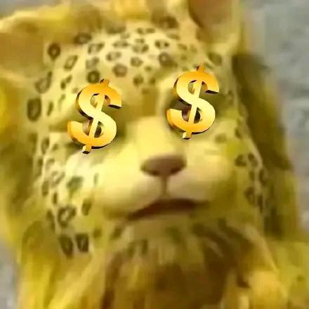 金钱豹名字被占了