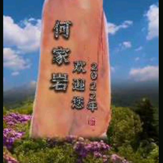 东哥哥