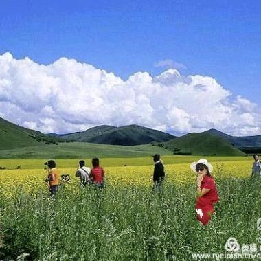 云淡风轻