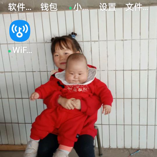 手机用户59337826365莲子