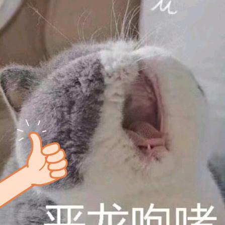 波波啦啦(✪▽✪)