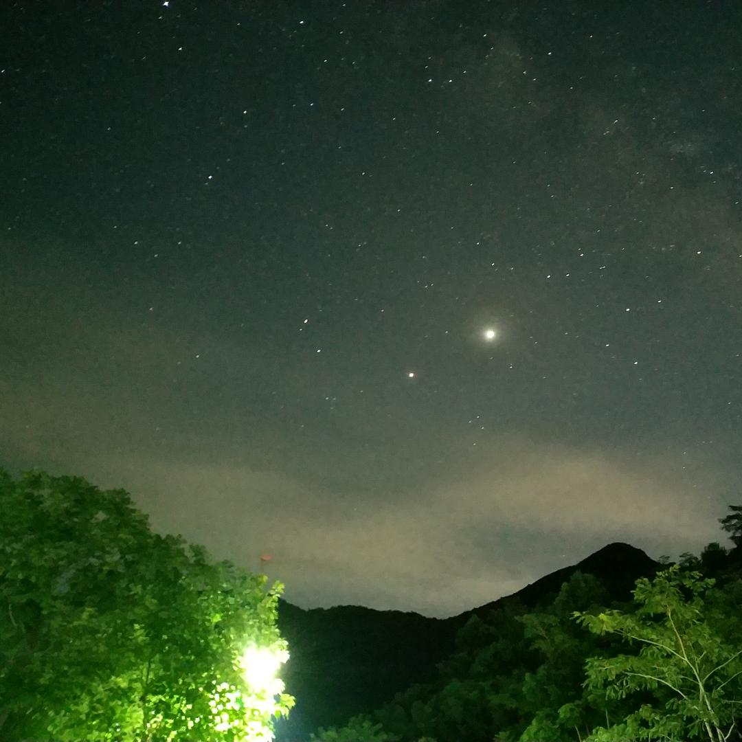 旭雨木木