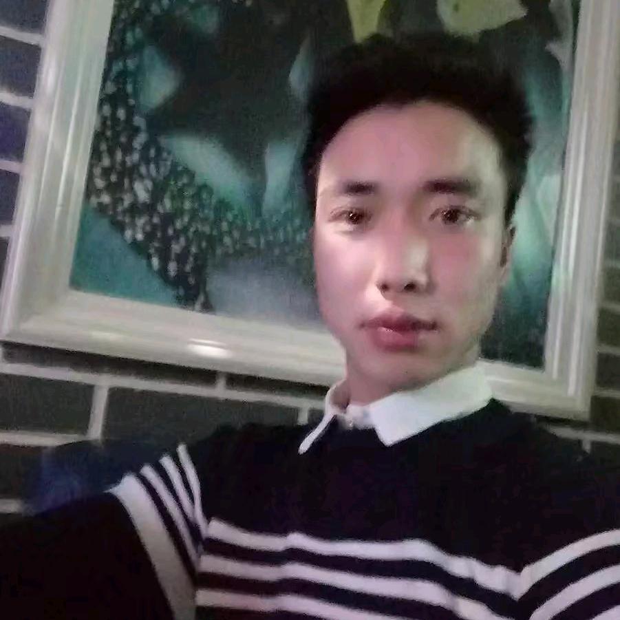 鲜肉饼    香酥手抓饼