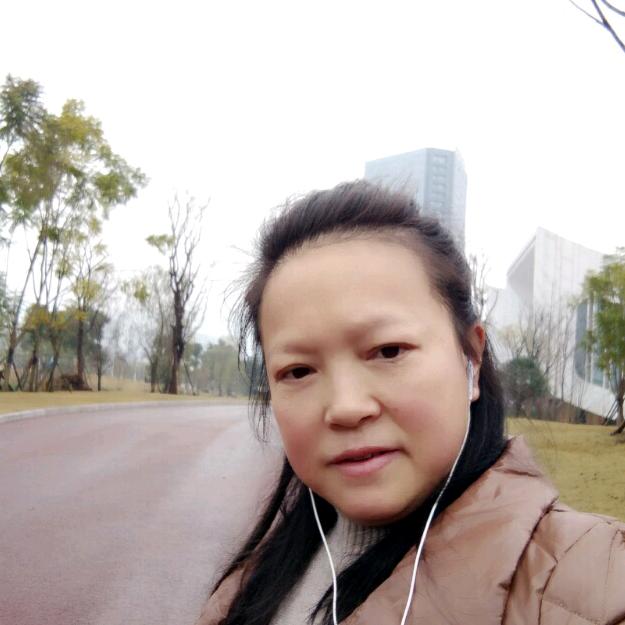 空城暖树