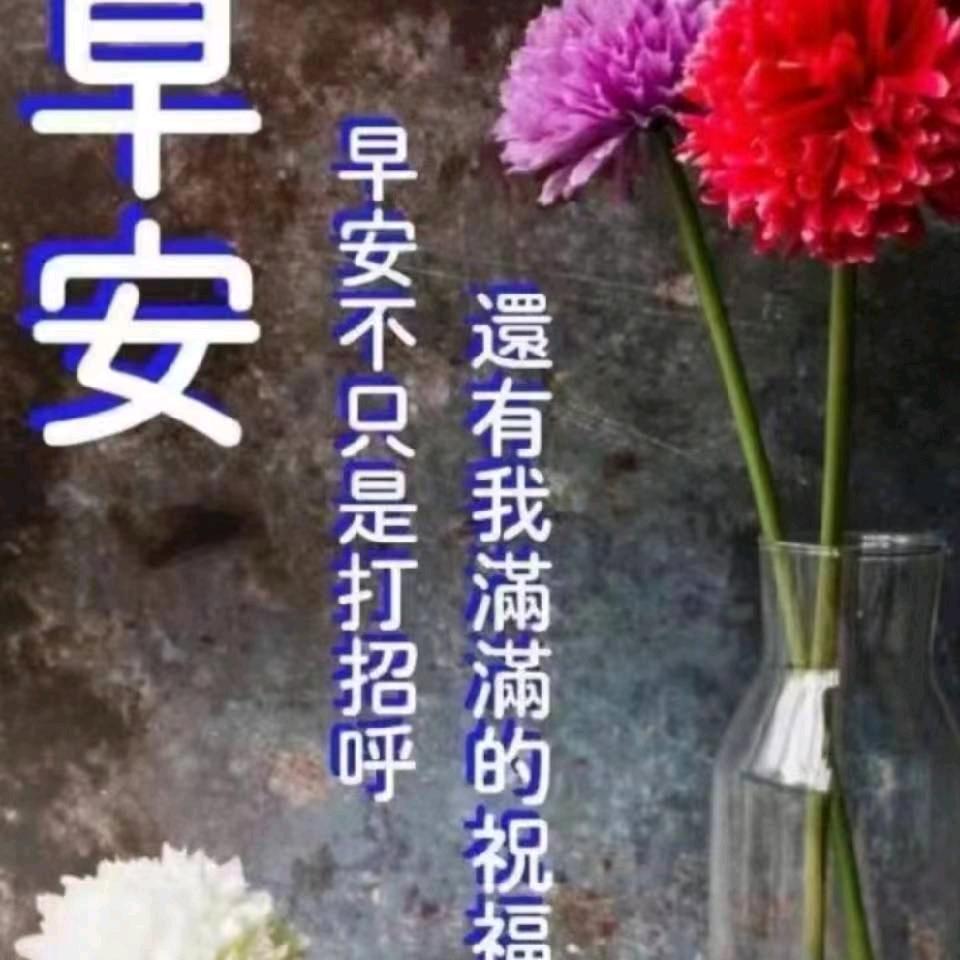 顺心