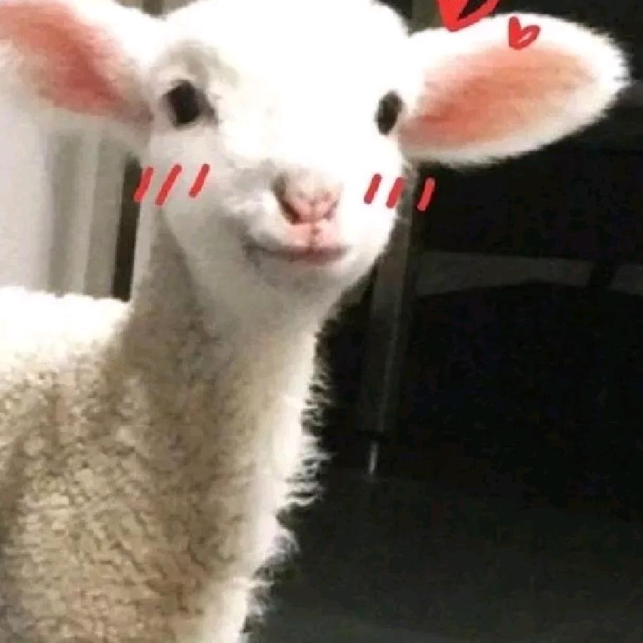 伶牙俐齿沸羊羊