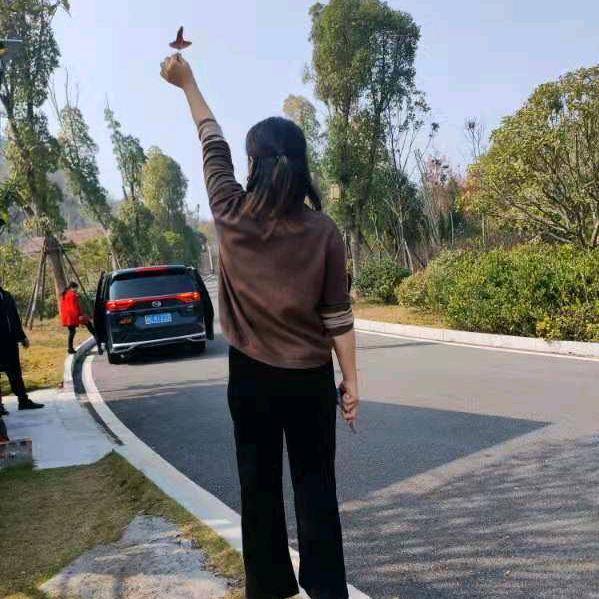 临武燃放身材管理贤姐