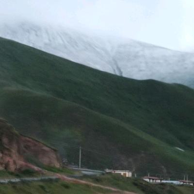 (｡･ω･｡)ﾉ♡🌸🌸🌸影子