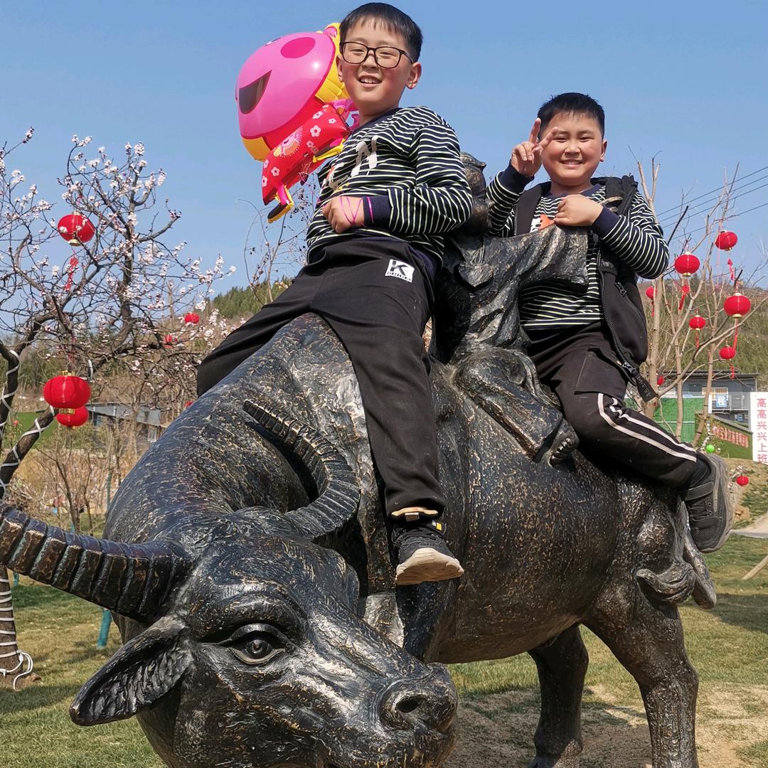 诚艺全屋整装【郑】