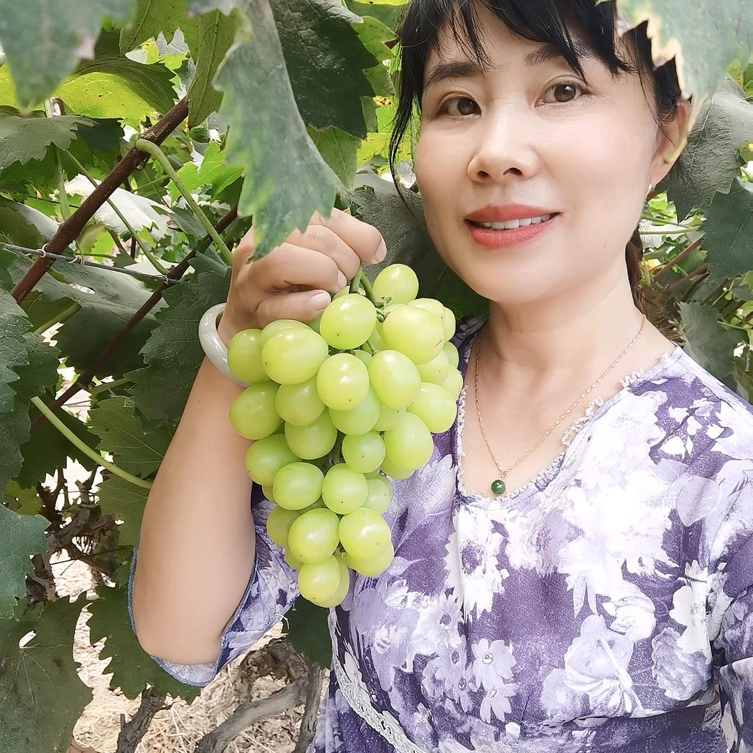 葡萄姐霞光（传芳采摘园）