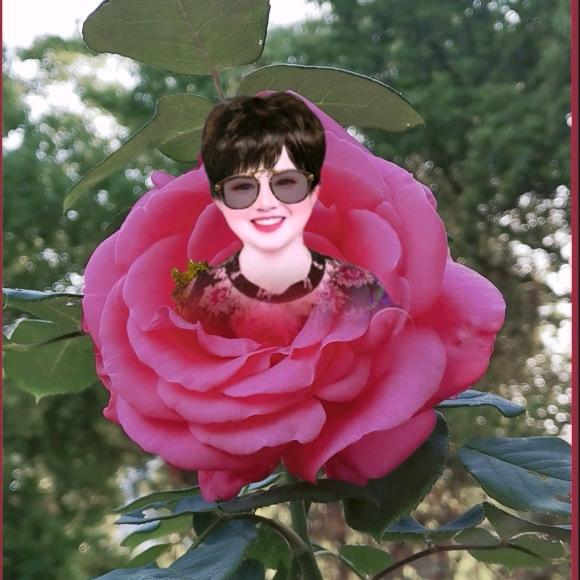 枝🌹