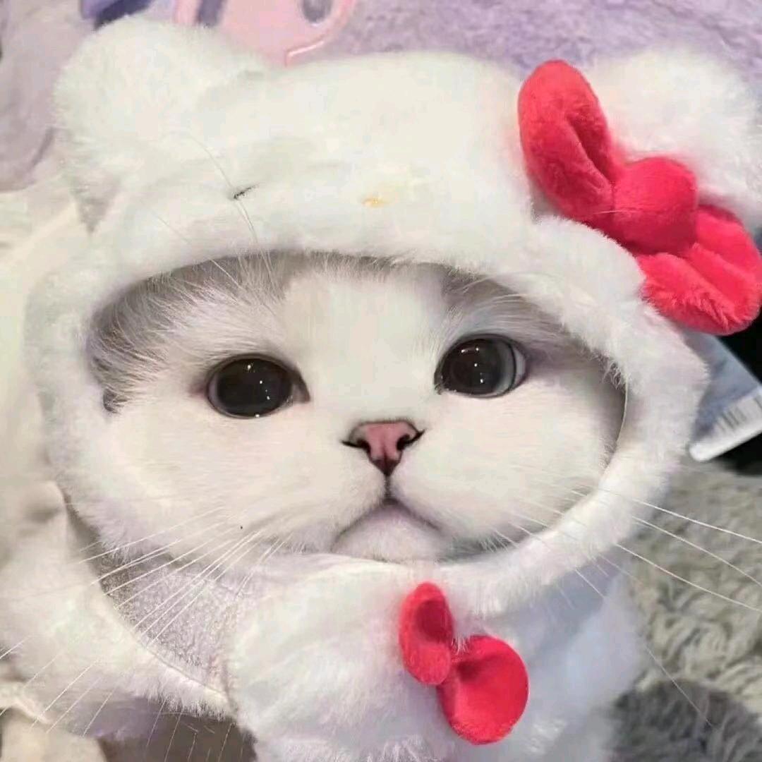 ❤️永远爱你🤟