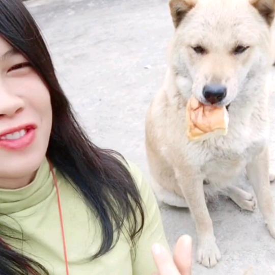 🍀随波飘香🍀