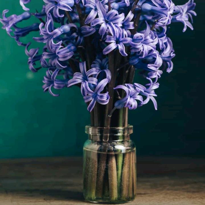 我连自己都猜不透