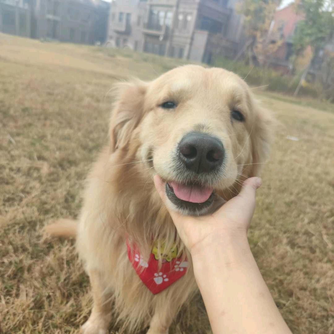 家有可乐
