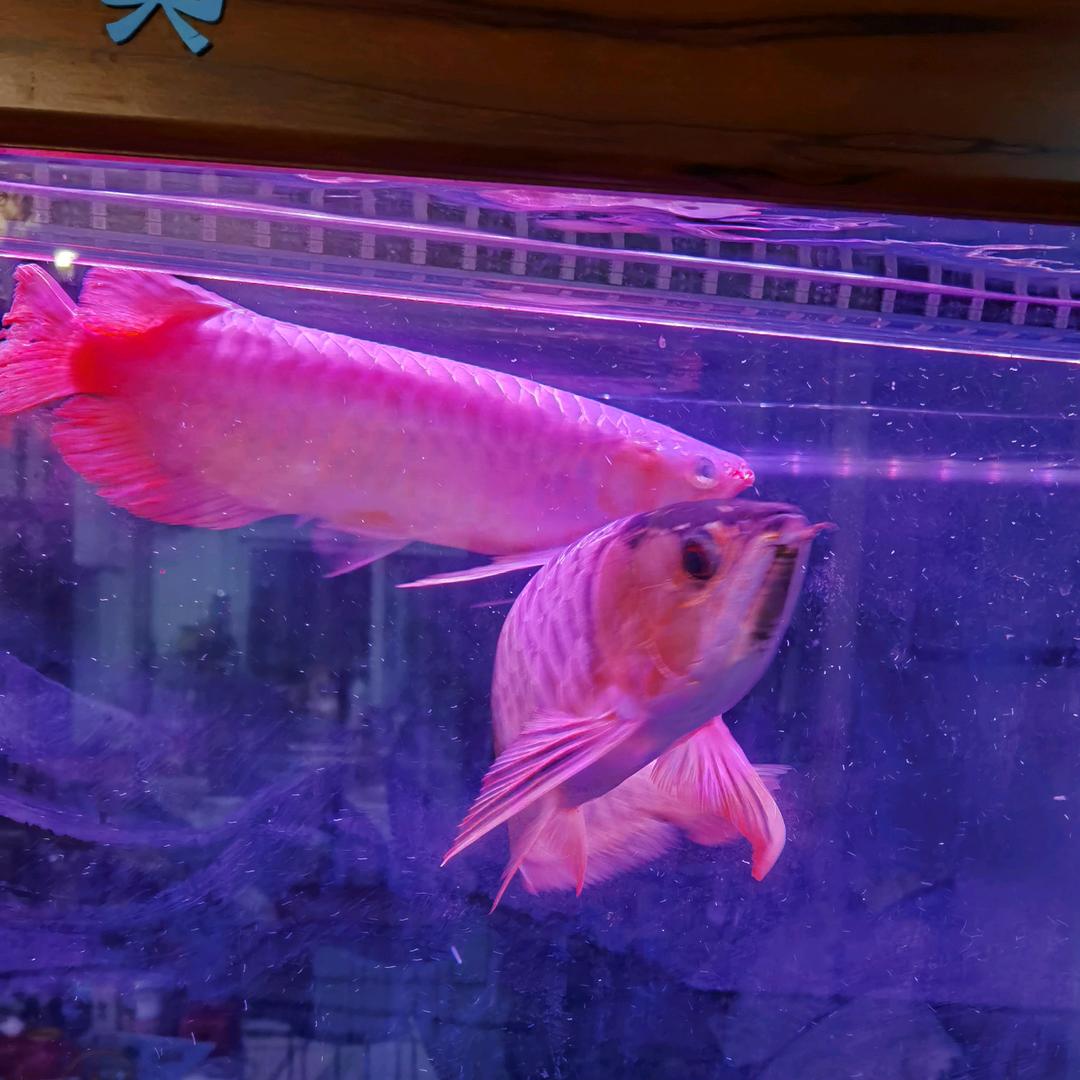 大～广