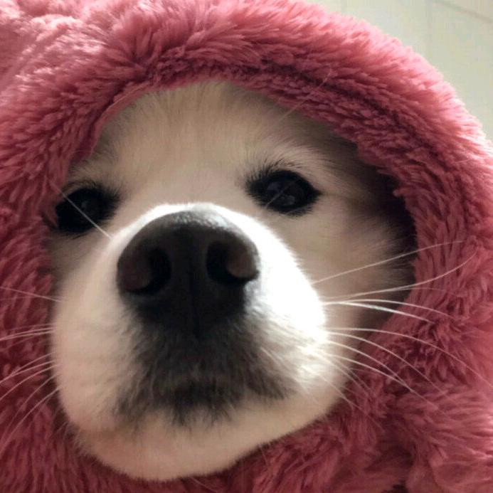 Hey
