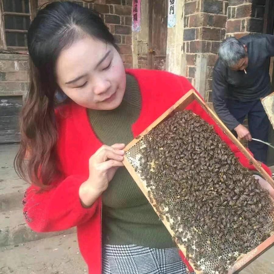 专心❤土蜂蜜