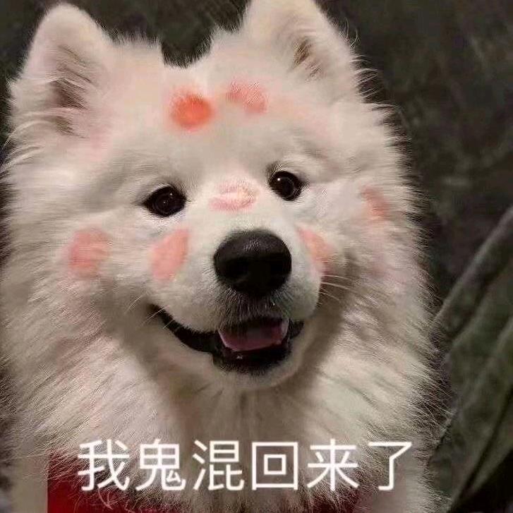 红鲤鱼与红烧鲤鱼