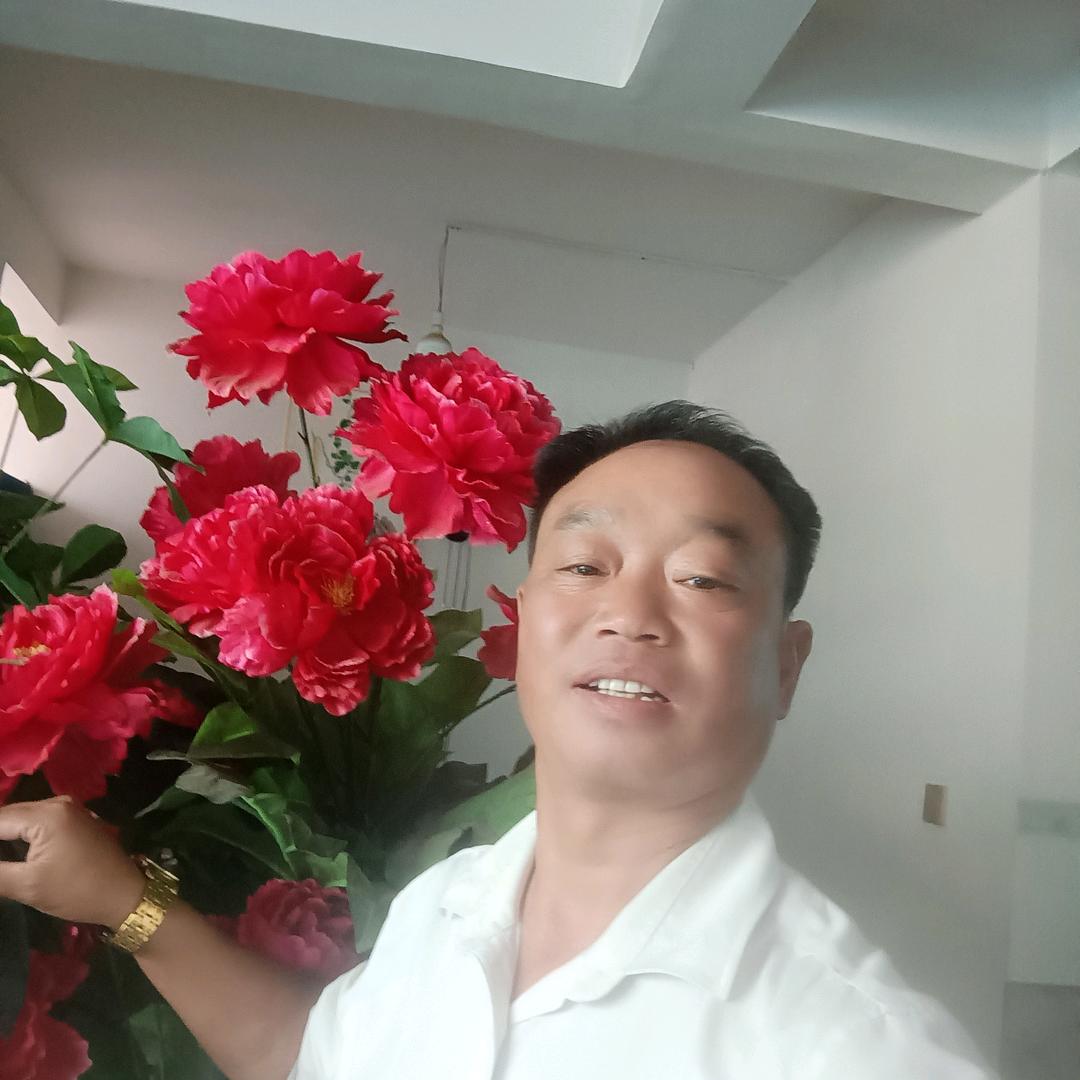 永远不回头（彭总）