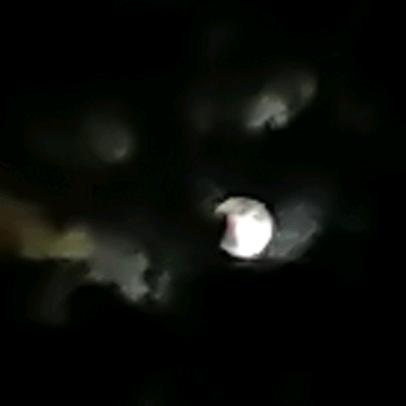 你的月亮我的心