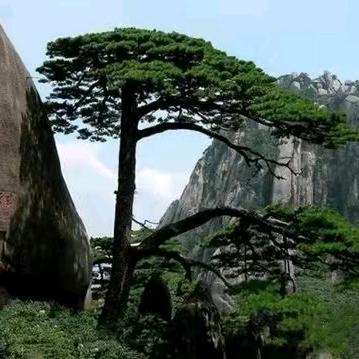 平凡人生🍀