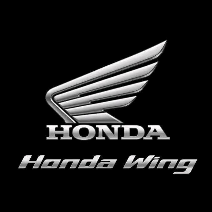 株洲辰瑞hondawing