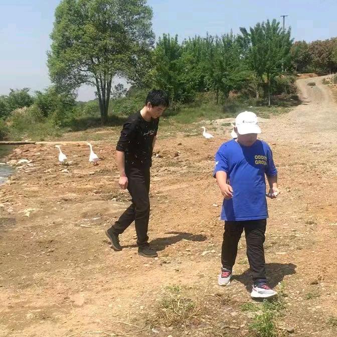 凤凰