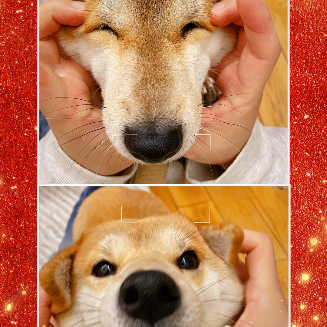 清雅脱俗头像