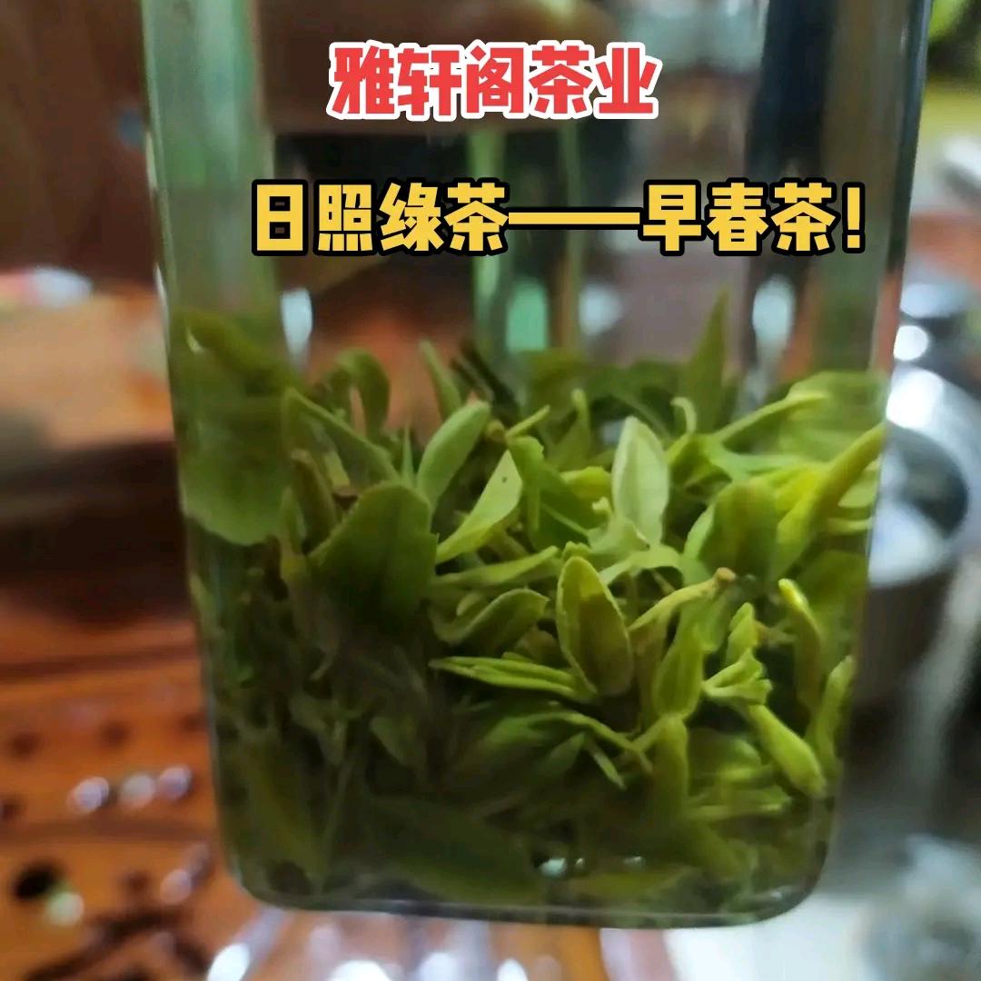 卖日照绿茶的老板娘🍵静雅轩茶业