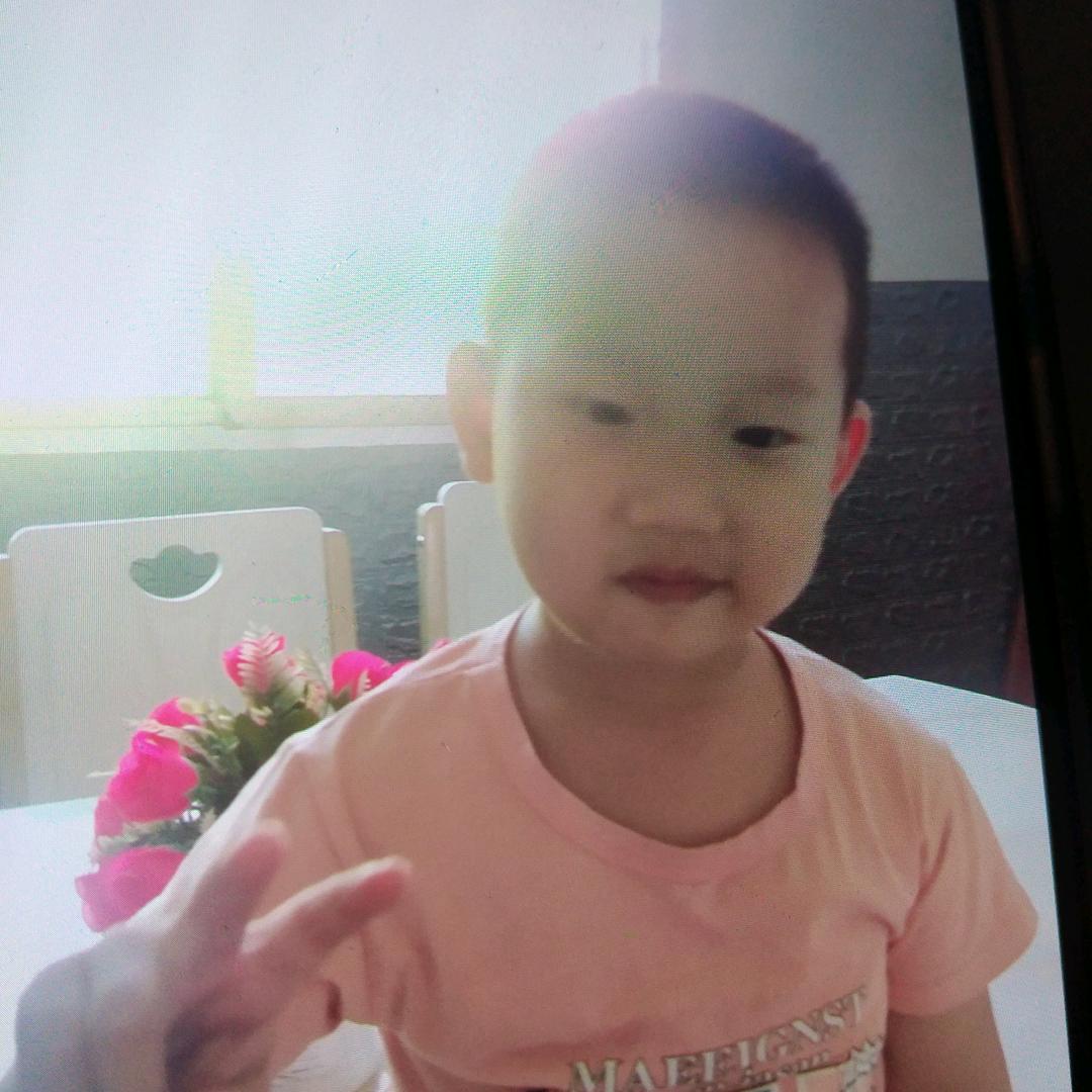 你好呀(●°u°●) 」