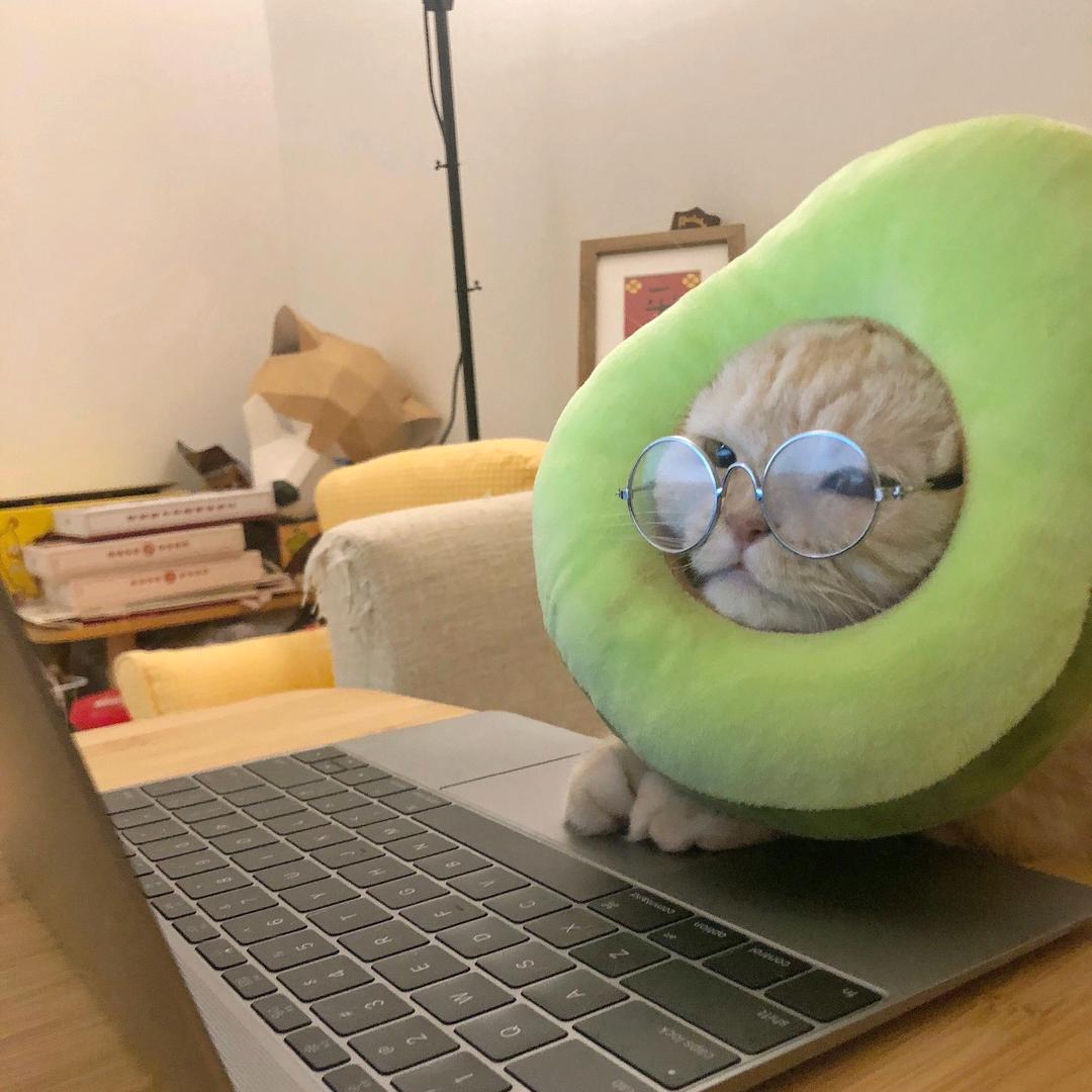 软糖