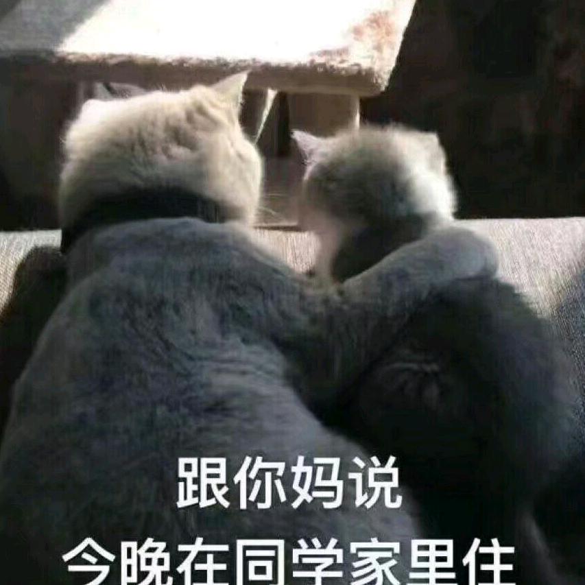 骑马哈